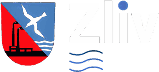 Zliv